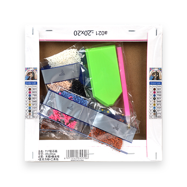 Diamond Painting (20*20)