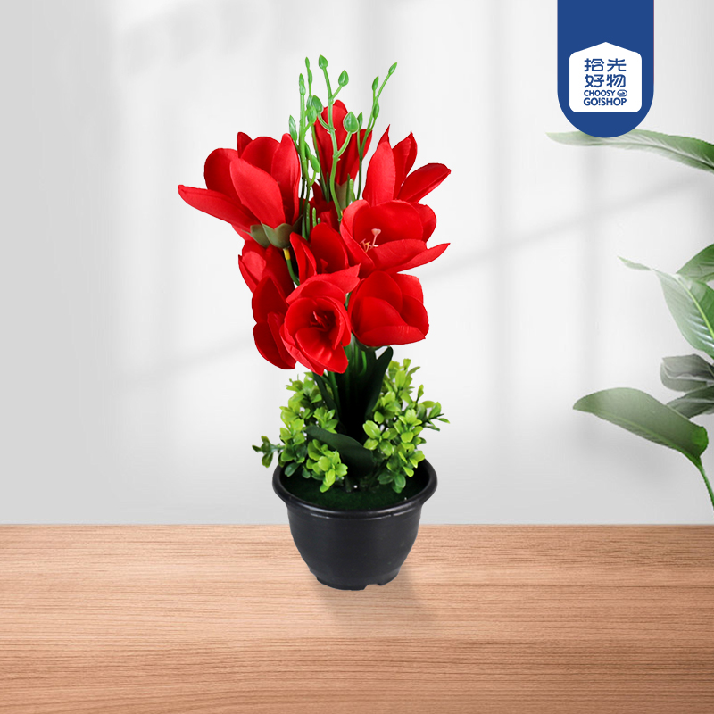 Black bonsai spring magnolia flower bonsai - Image 2