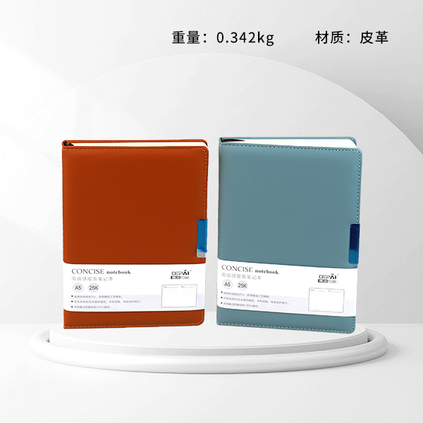 25-35 blue iron buckle notebook - Image 3