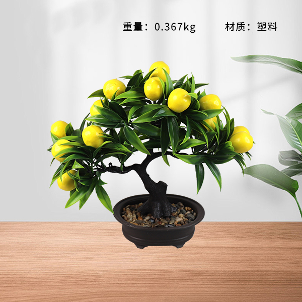 9812 fruit tree flower bonsai (mixed)