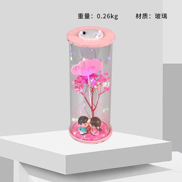 XY-240 glass cover lamp