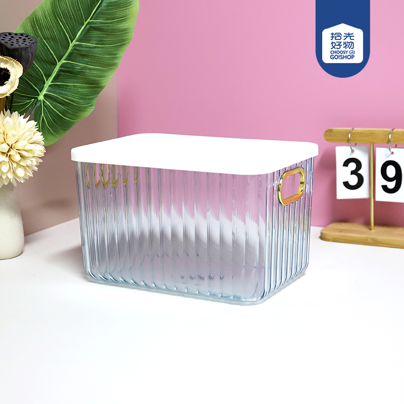 6502 transparent PET storage box