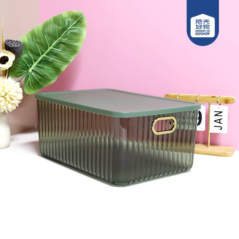 6504 transparent PET storage box (large)