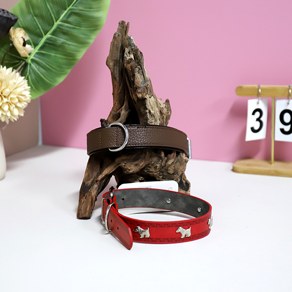 MLG30005-3cm dog collar (mixed) - Image 4