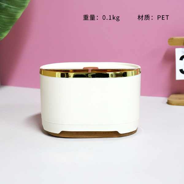 GH-2914 Light Luxury Vertical Storage Box