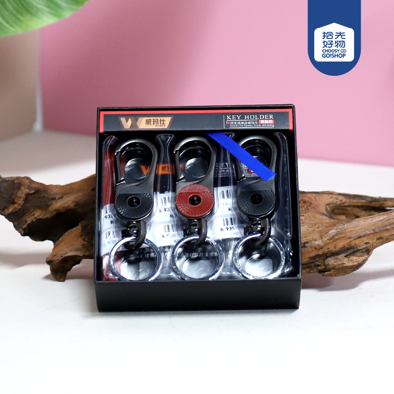 6736 Advanced Security Keychain