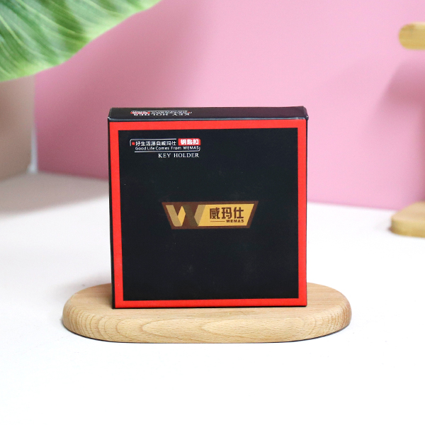 6818 Advanced Security Keychain - Image 2