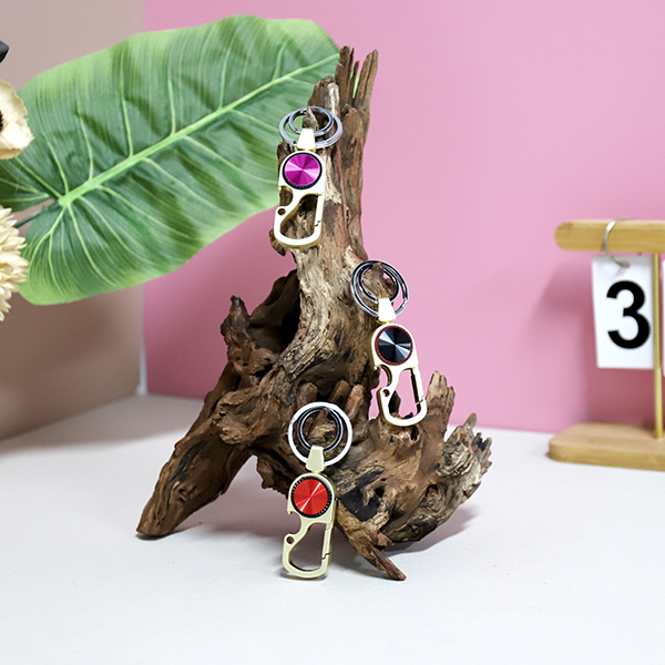 6818 Advanced Security Keychain - Image 3