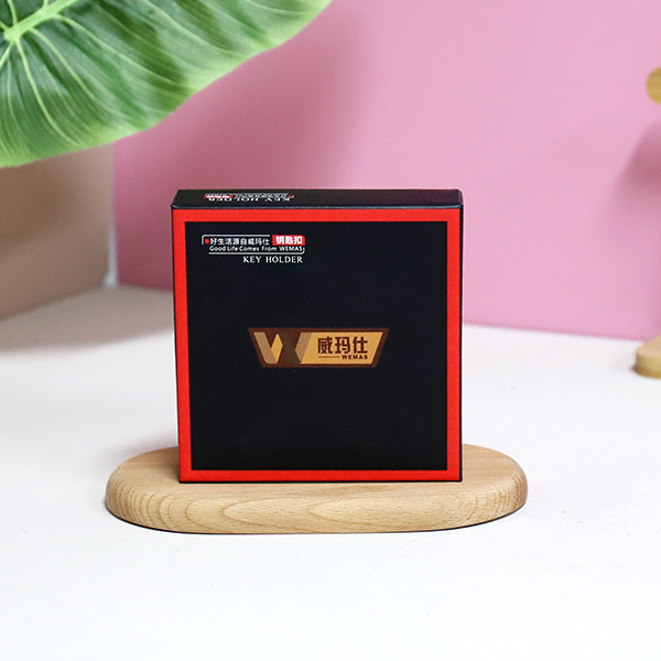 6734 Advanced Security Keychain - 图片 2