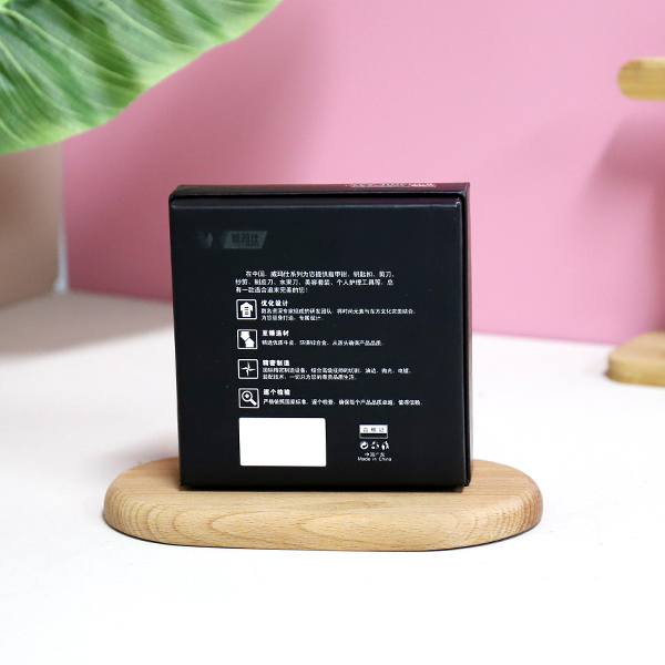 6734 Advanced Security Keychain - 图片 4