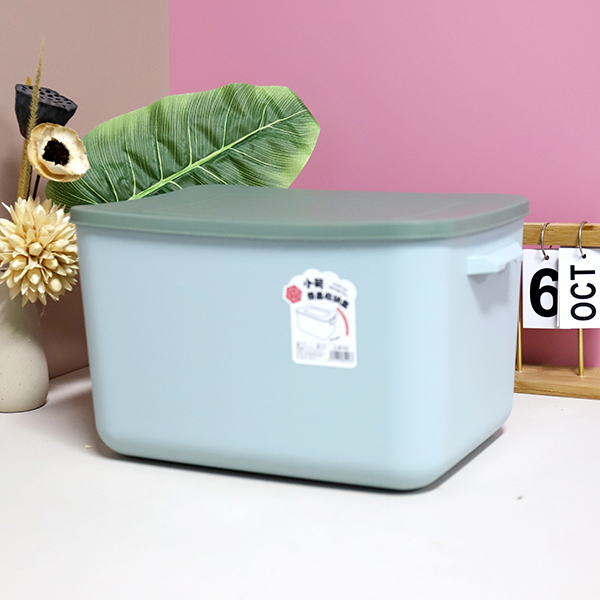 331 small storage box with lid - Ảnh 3