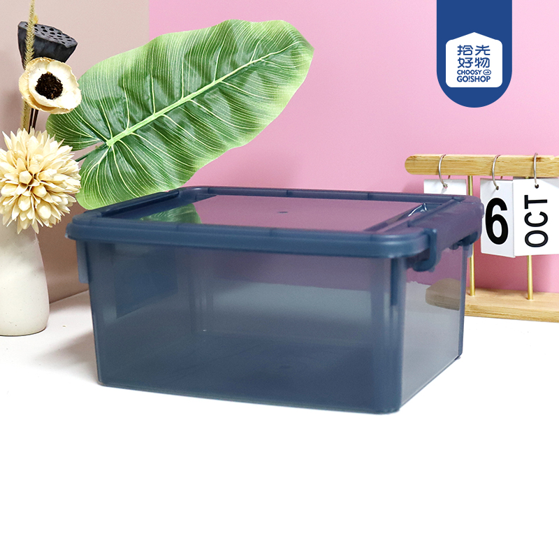 3058 Transparent Medium Storage Box