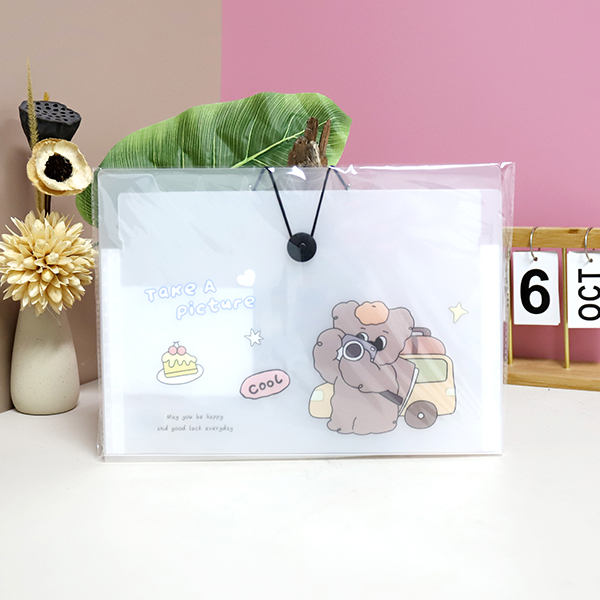 8338-8 into the organ bag