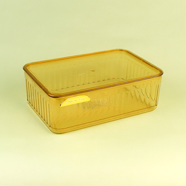 2229 transparent storage box with lid