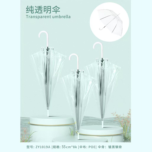 ZY1019A pure transparent umbrella