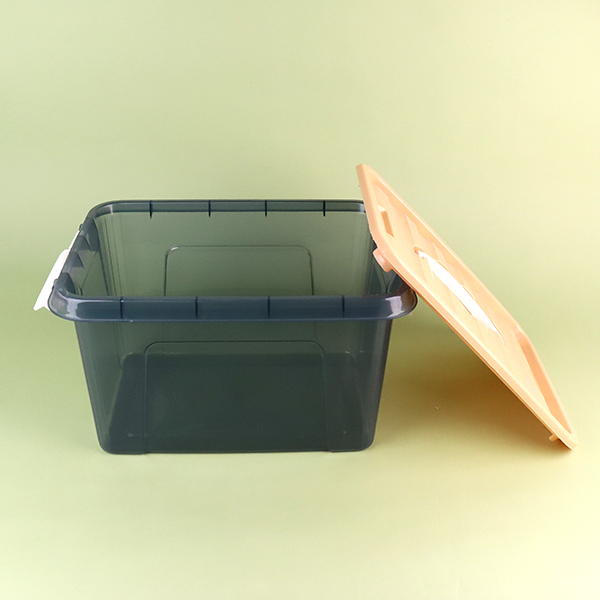 6270-10L Transparent Hand Storage Box