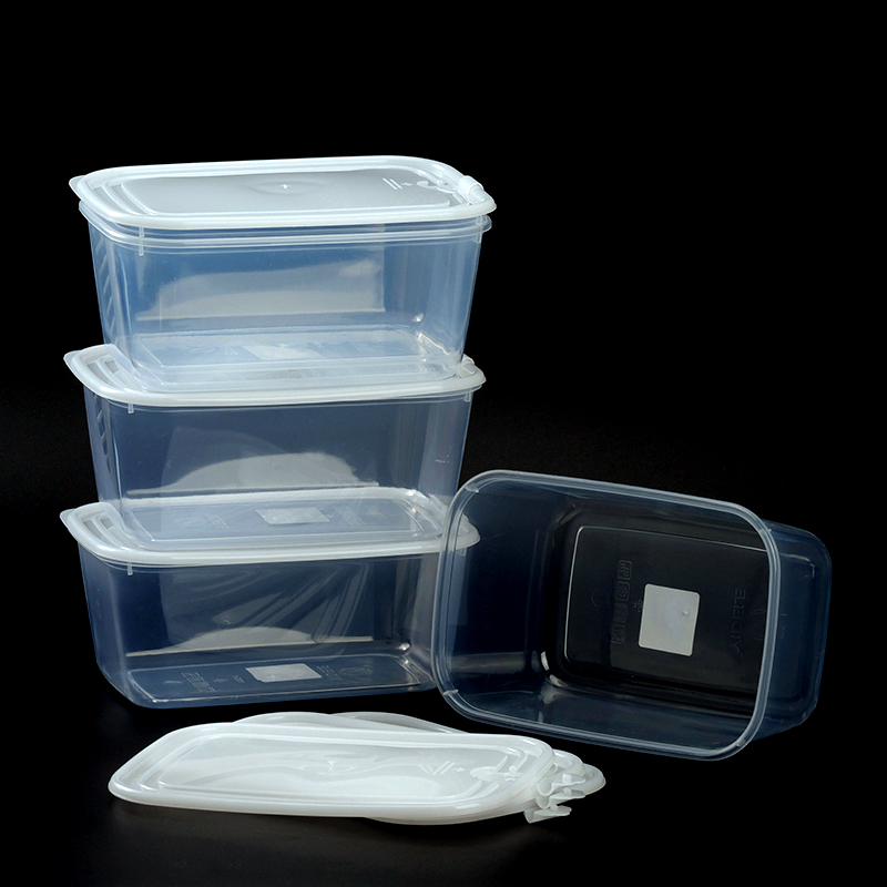 1002-1 rectangular transparent fresh-keeping box (simple)