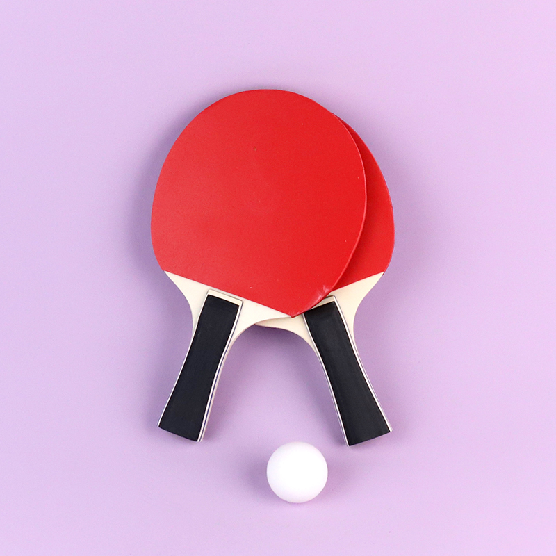 6930-2 upgrade table tennis racket