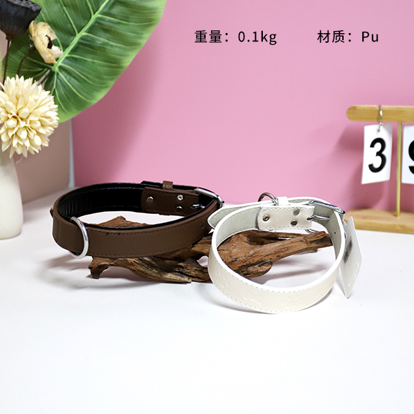 MLG30005-3cm dog collar (mixed) - Image 2