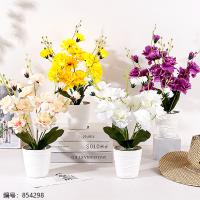 White Pot Peony Potted Plant (1 x 15)