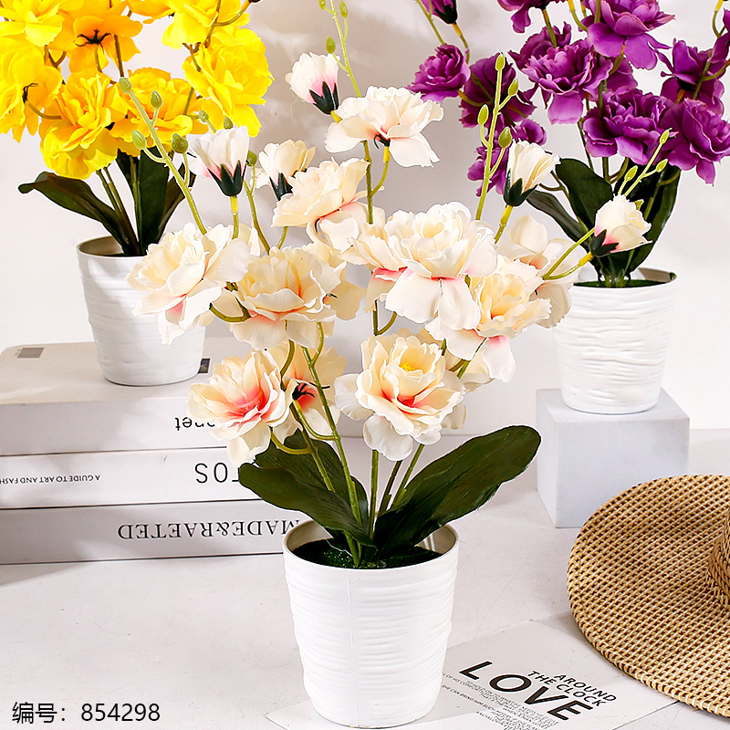 White Pot Peony Potted Plant (1 x 15)