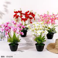 Black Pot Hibiscus Potted Plant (1 x 15)