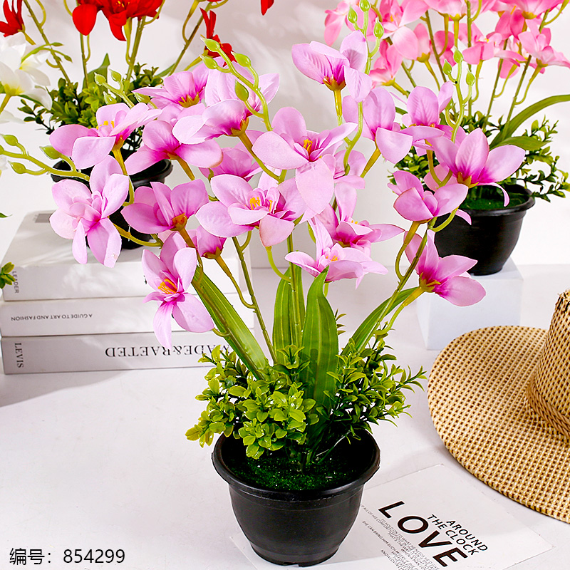 Black Pot Hibiscus Potted Plant (1 x 15)