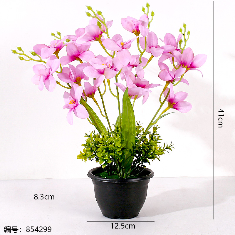 Black Pot Hibiscus Potted Plant (1 x 15)