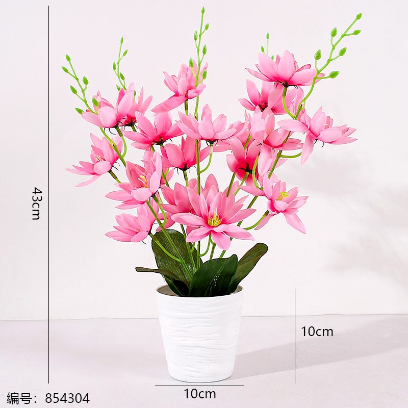 White Pot Snow Lotus Potted Plant (1 x 15)