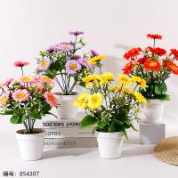 HS-29 White Pot Chrysanthemum Potted Plant (1 x 15)