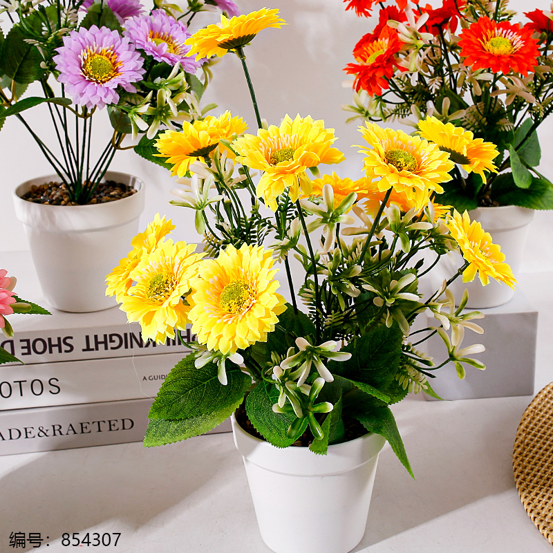 HS-29 White Pot Chrysanthemum Potted Plant (1 x 15)