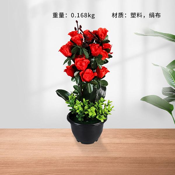 Black potted spring rose bonsai