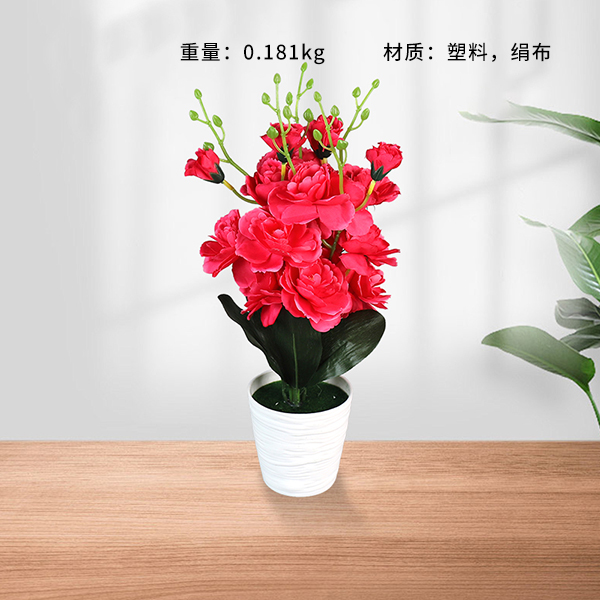 White pot peony flower bonsai