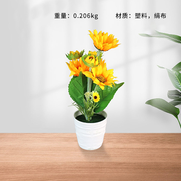 9821 sunflower bonsai