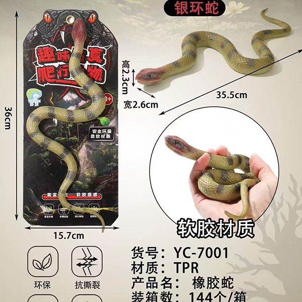 YC-7001 Bungarus bungarus - Image 4