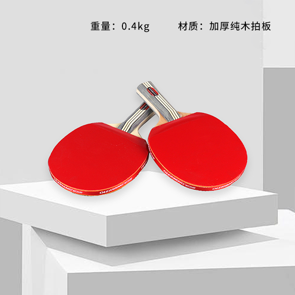Olia LY-5423 Ping Pong Racket