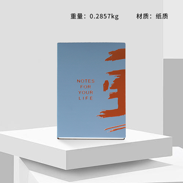 XX-16325 Bronzing Diary Notebook