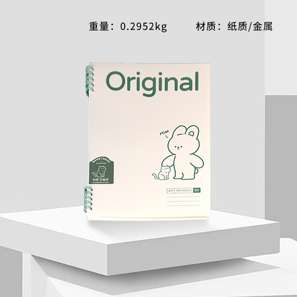 FSXQ035 (B5) PP coil book (little white play)