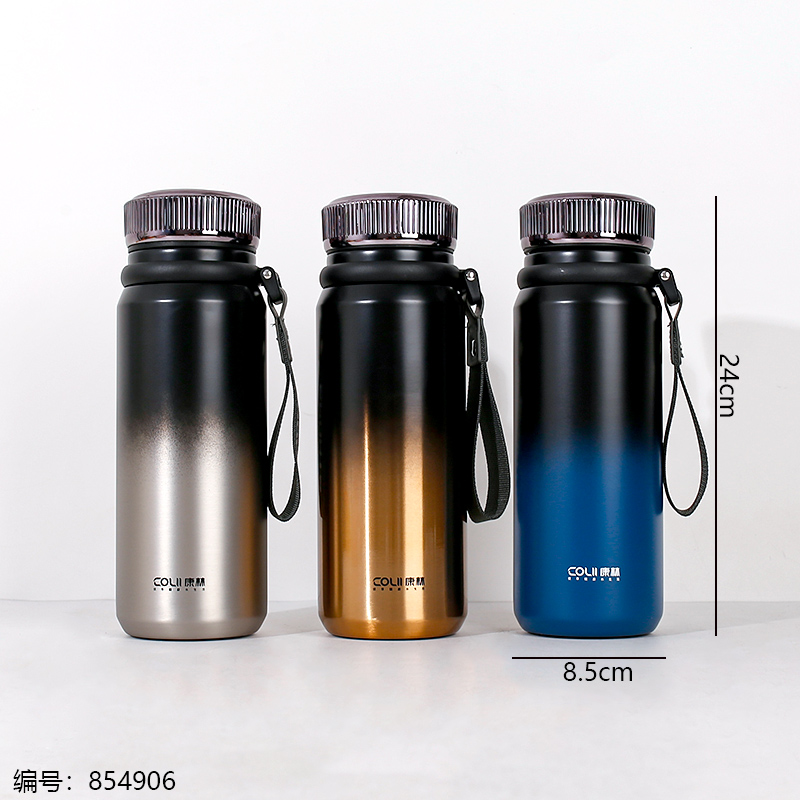 253-850 Vacuum Insulated Bottle