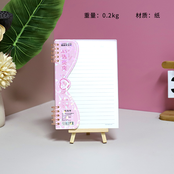 HY2501-A5 Binder (Mixed Pattern) - 图片 2