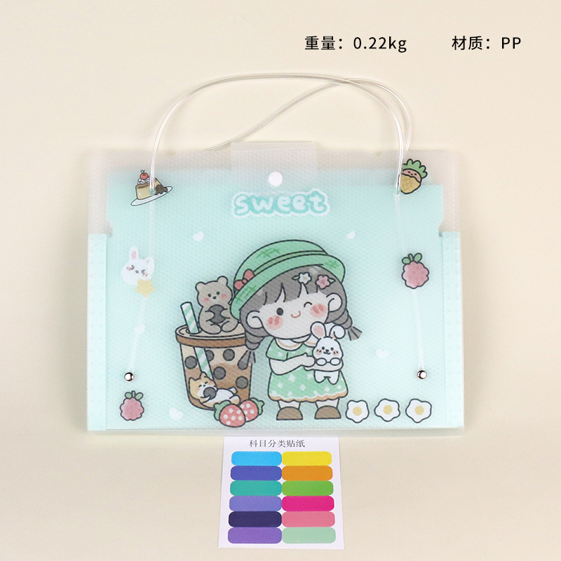 9146/9147-11 horizontal PVC organ bag