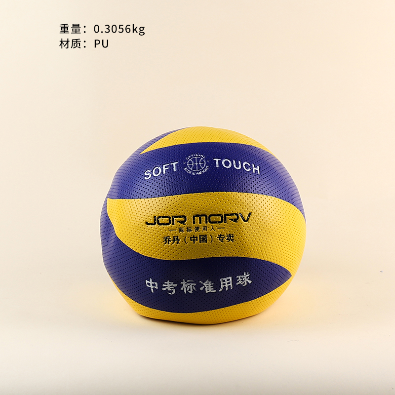 320/310 Classic Skin Volleyball (Mixed)-Inflatable
