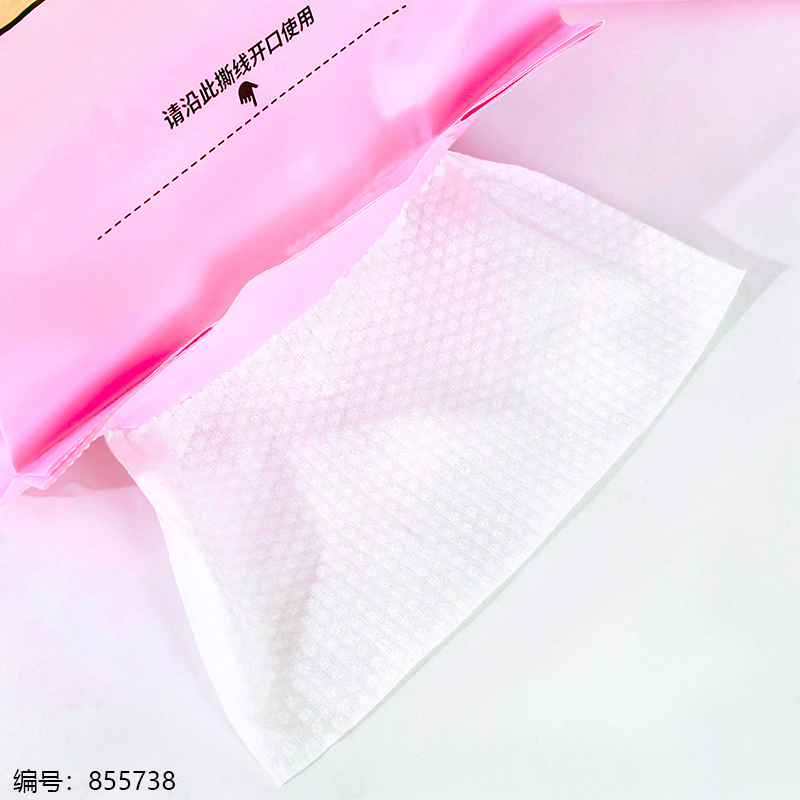 2210 Pink Kitchen Paper Towel