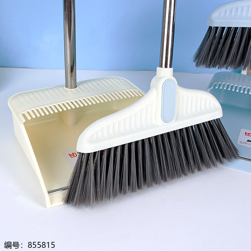 713 Broom & Dustpan Set