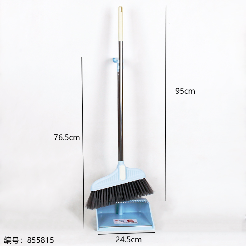 713 Broom & Dustpan Set