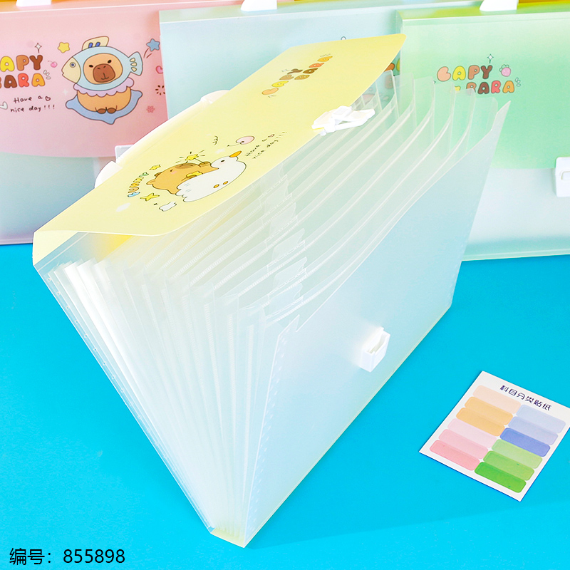 Multi-Layer Expanding File Organizer 1616