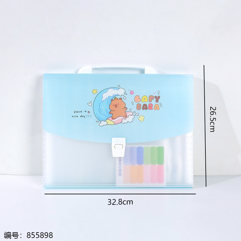 Multi-Layer Expanding File Organizer 1616
