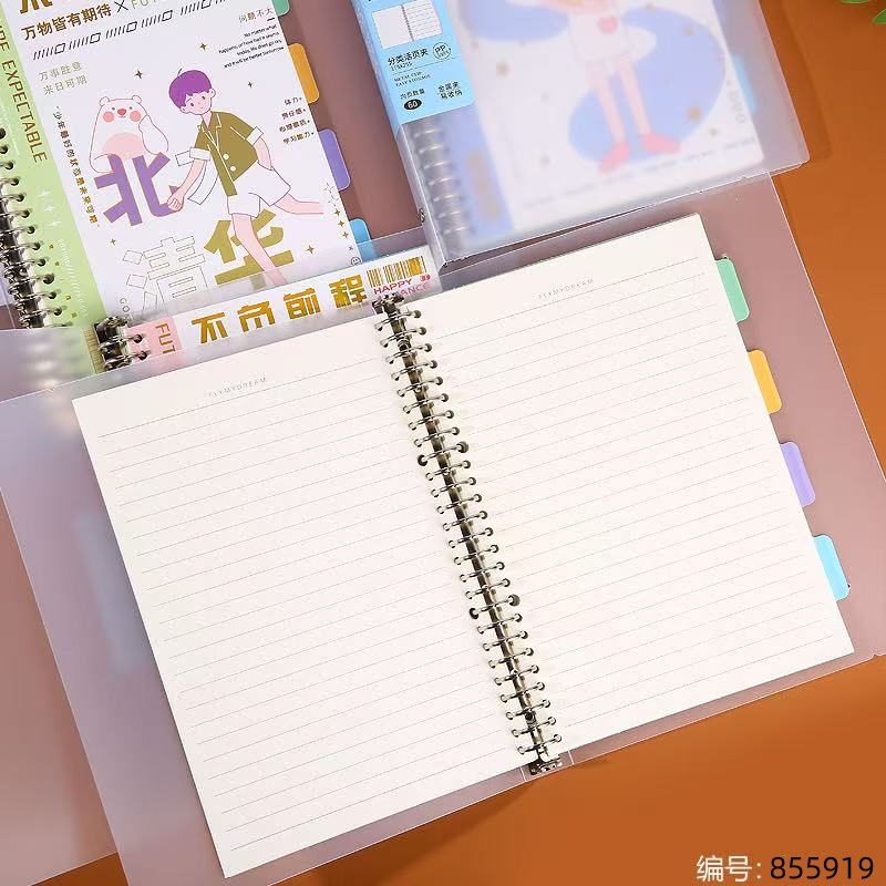 B5 Classified Loose-Leaf Notebook, 60 Sheets 5560