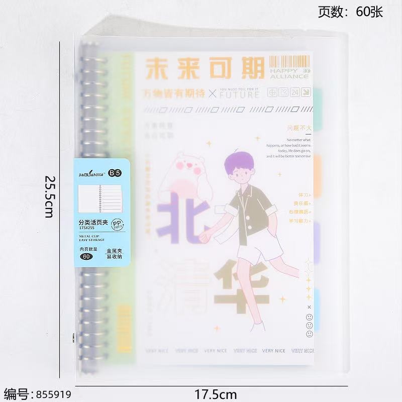 B5 Classified Loose-Leaf Notebook, 60 Sheets 5560