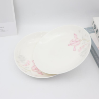 7-inch Dinner Plate With Code